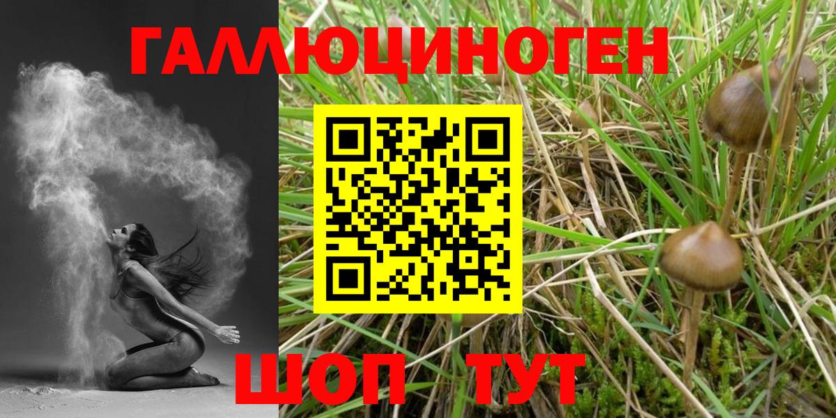 Псилоцибиновые грибы мухоморы  Вход с VPN  Костомукша 